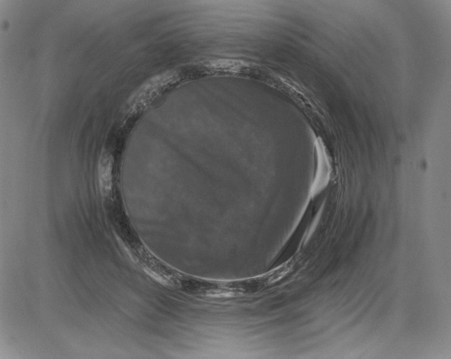 X0000080810504200701051153