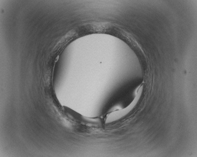 X0000080810505200701051153