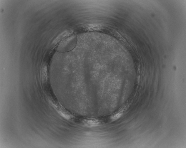 X0000080810506200701051153