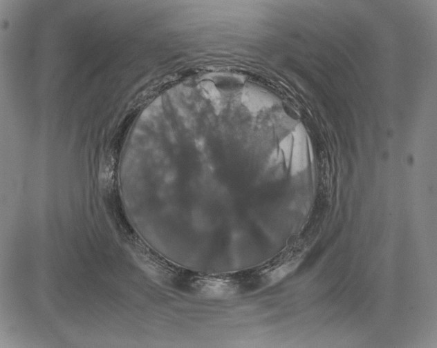 X0000080810507200701051153