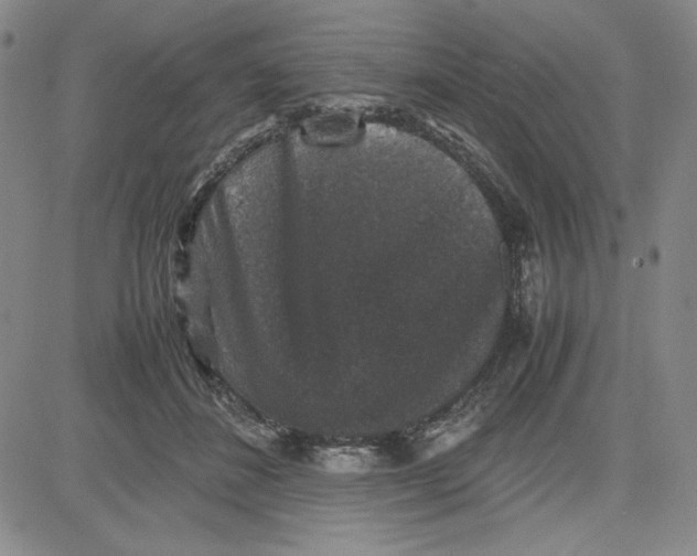 X0000080810508200701051153