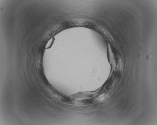 X0000080810509200701051153