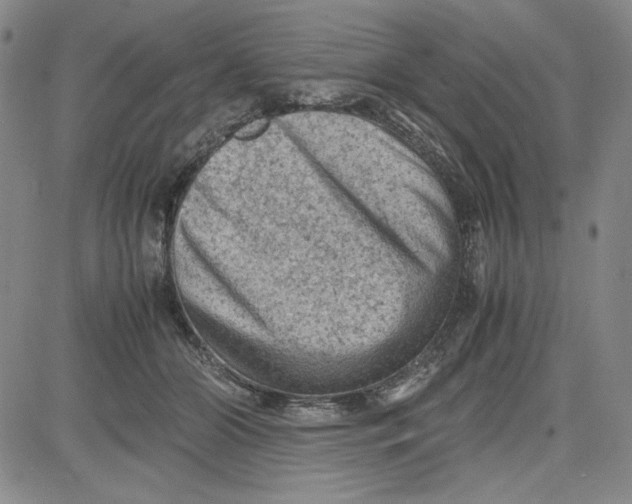 X0000080810510200701051153