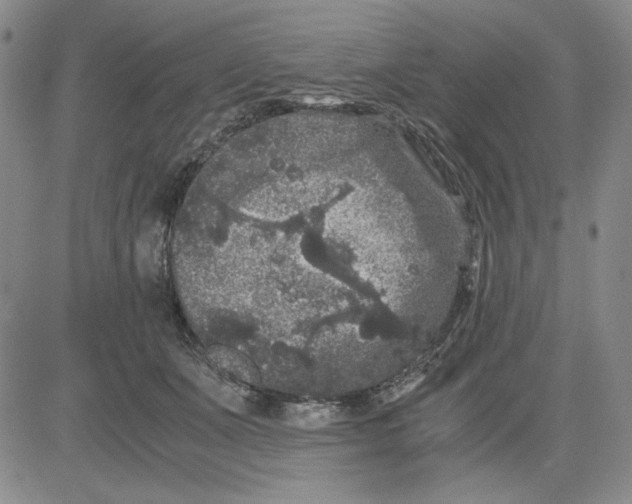 X0000080810511200701051153