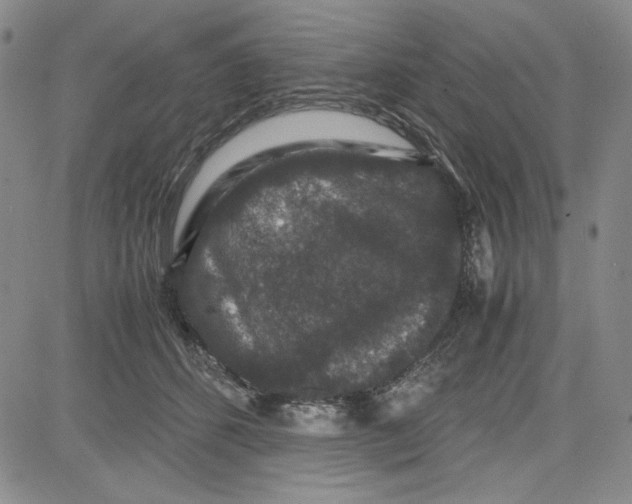 X0000080810512200701051153