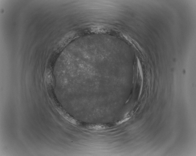 X0000080810513200701051153