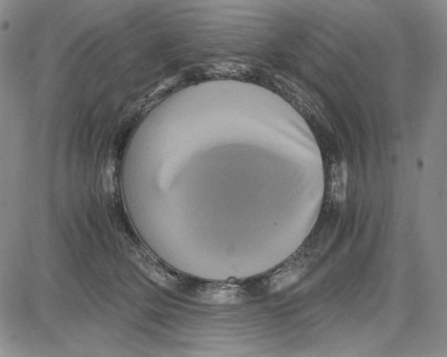 X0000080810514200701051153