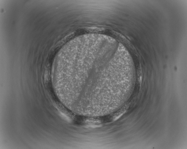 X0000080810515200701051153