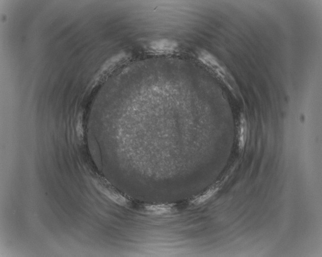 X0000080810516200701051153