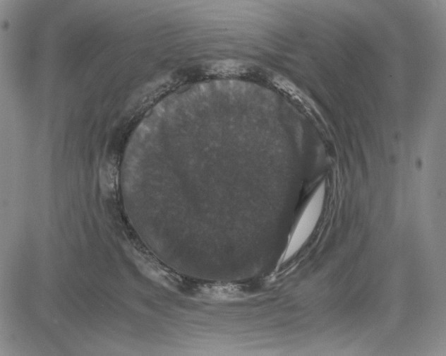 X0000080810517200701051153