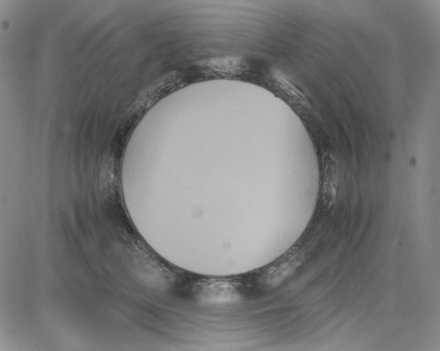 X0000080810518200701051153