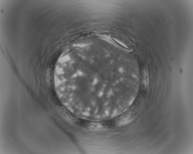 X0000080810519200701051153