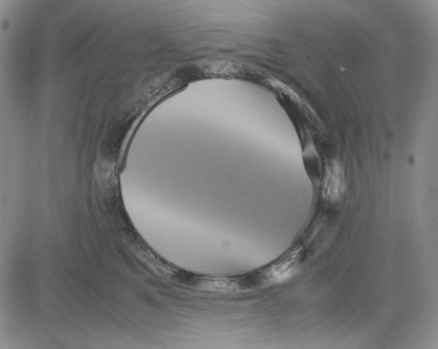 X0000080810521200701051153