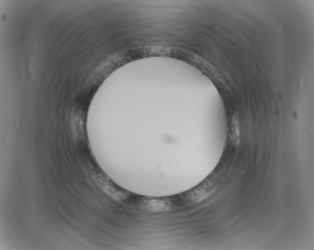 X0000080810522200701051153