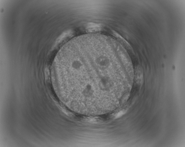 X0000080810523200701051153