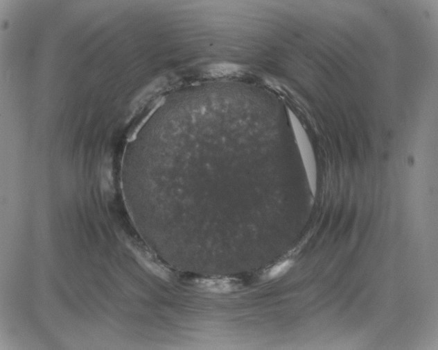 X0000080810524200701051153