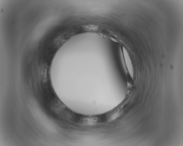 X0000080810525200701051153