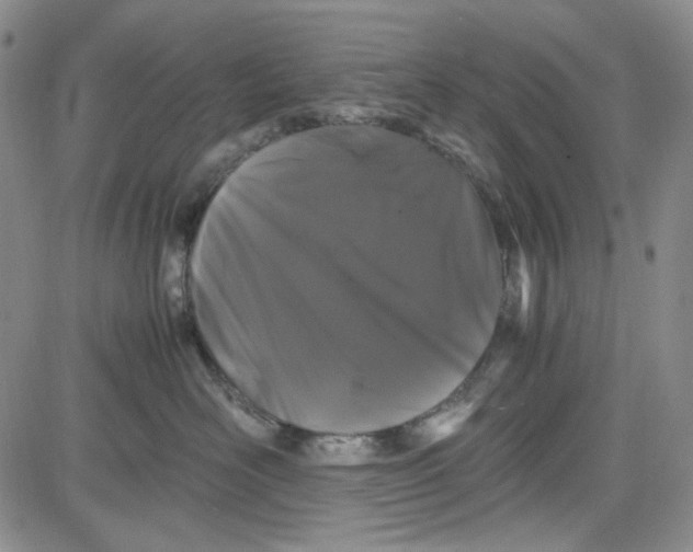 X0000080810526200701051153