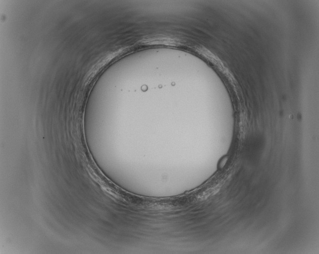 X0000080810529200701051152