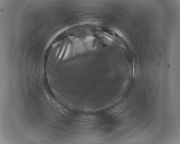 X0000080810531200701051152