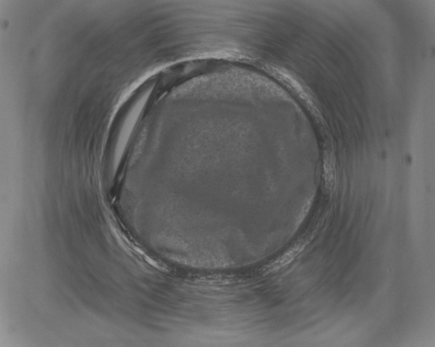 X0000080810532200701051152