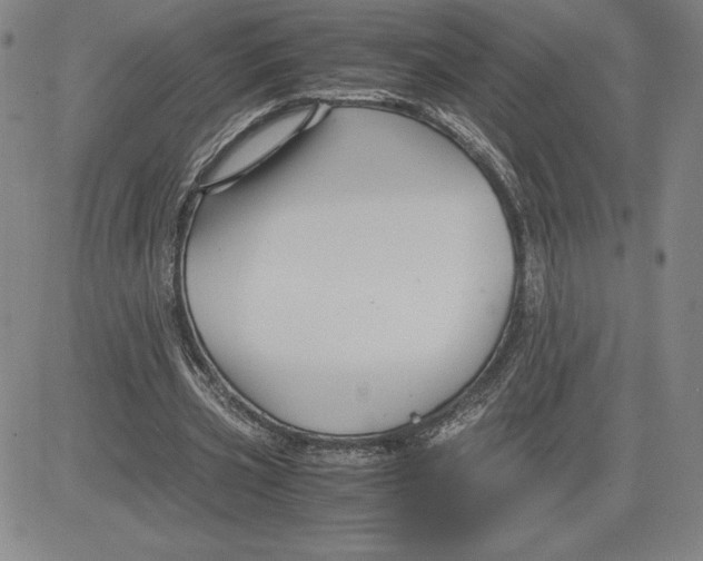 X0000080810533200701051152