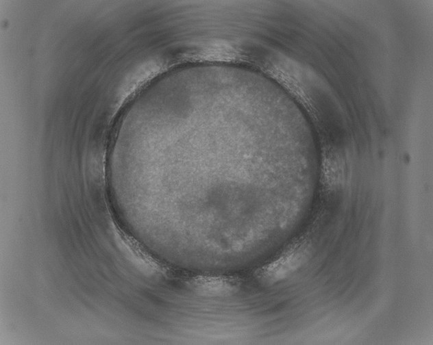 X0000080810534200701051152