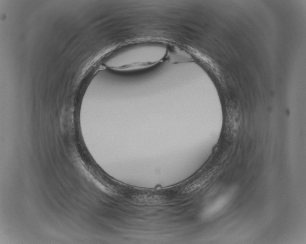 X0000080810535200701051152