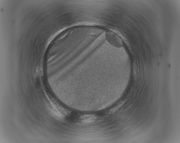 X0000080810536200701051152