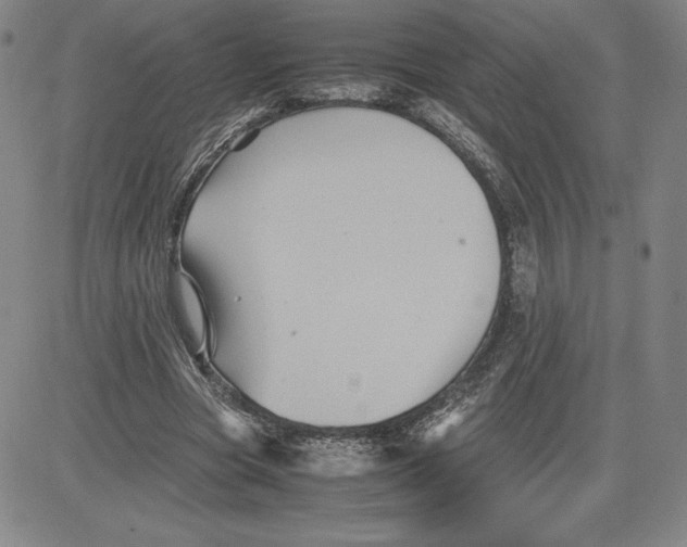 X0000080810537200701051152