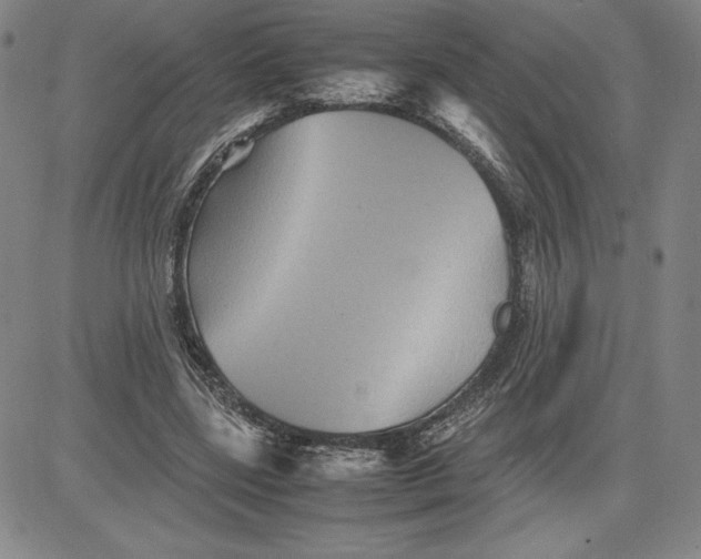 X0000080810539200701051152