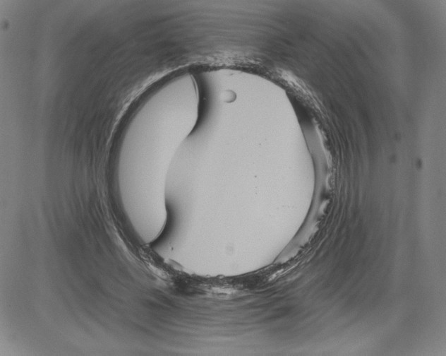 X0000080810540200701051152