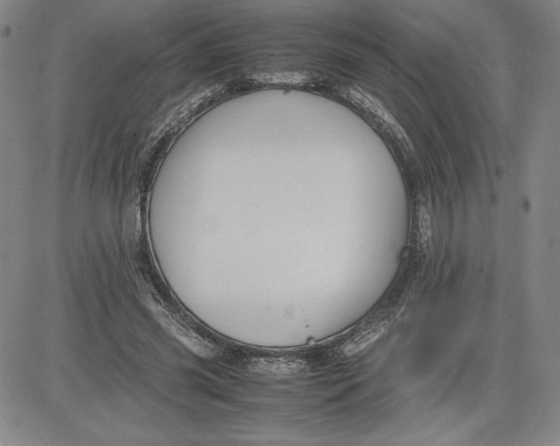 X0000080810541200701051152