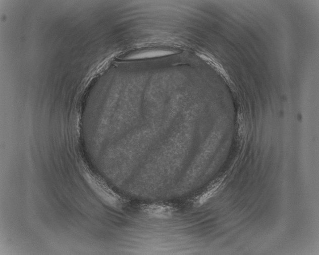 X0000080810542200701051152