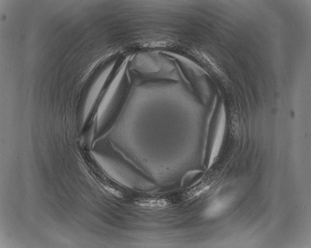 X0000080810543200701051152