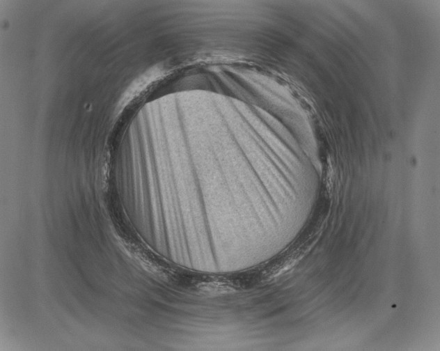 X0000080810544200701051152