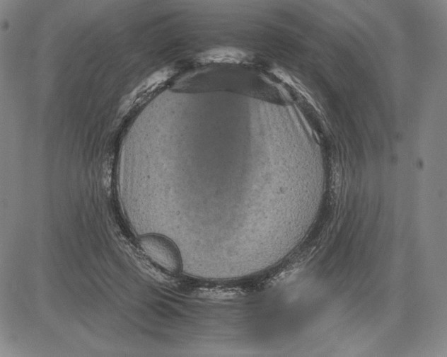 X0000080810545200701051153