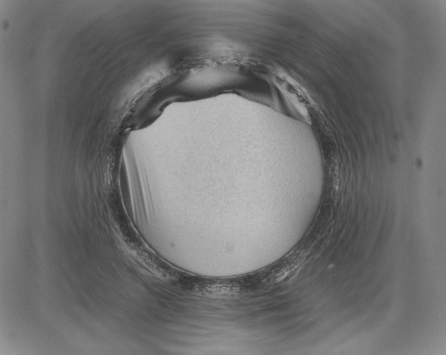 X0000080810546200701051153