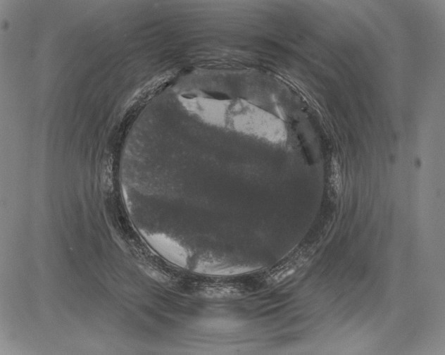 X0000080810547200701051153