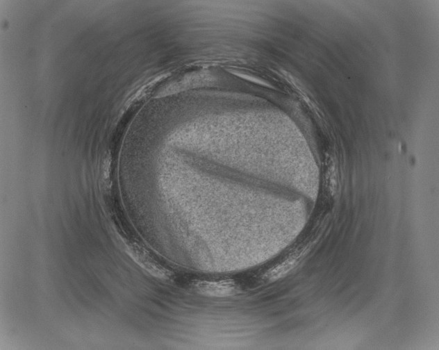 X0000080810548200701051153