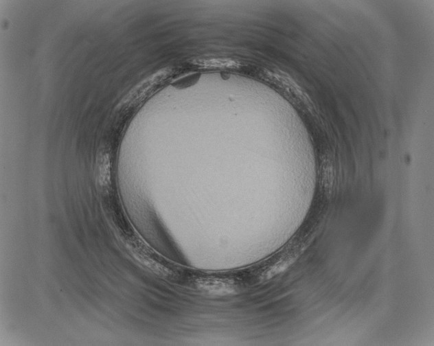 X0000080810549200701051153