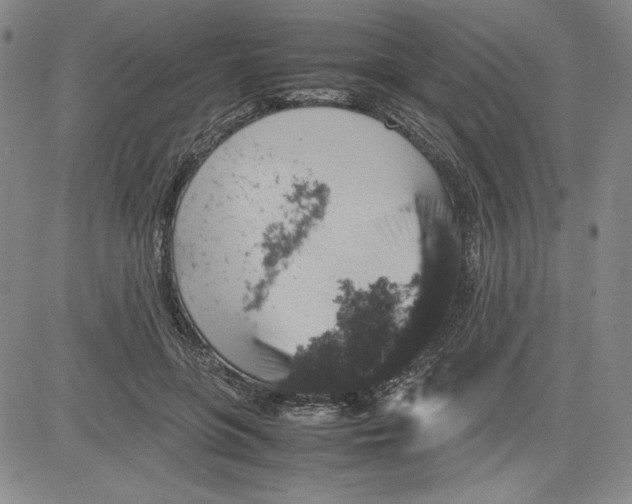 X0000080810551200701051153