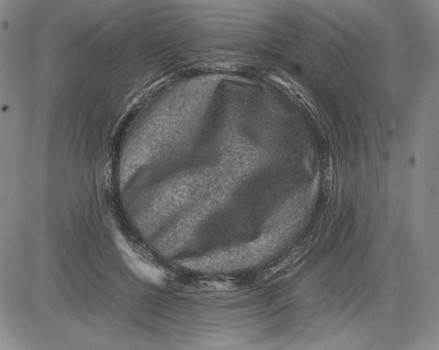 X0000080810552200701051153