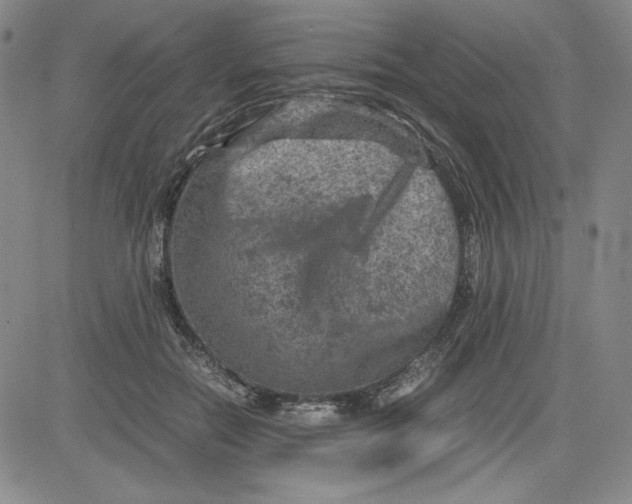 X0000080810554200701051153