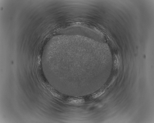 X0000080810555200701051153