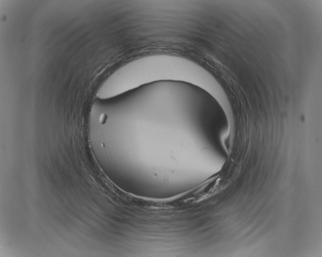 X0000080810556200701051153