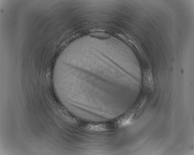 X0000080810557200701051153