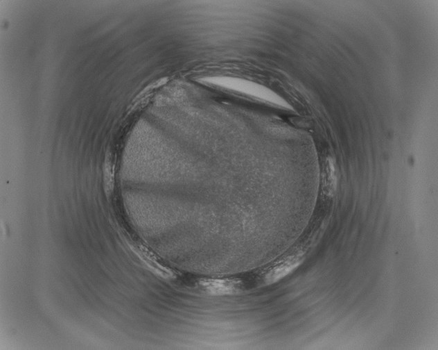 X0000080810558200701051153