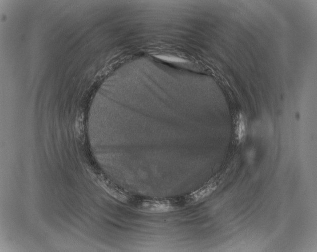 X0000080810559200701051153