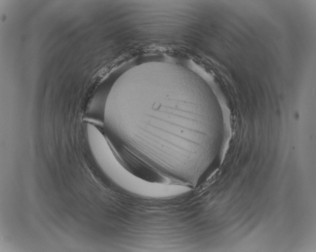 X0000080810560200701051153